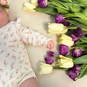 Боди BabyGo: отзыв пользователя ДетМир