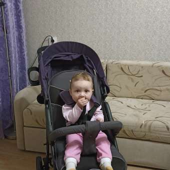 Коляска прогулочная Babyton Comfort Plus Purple: отзыв пользователя ДетМир