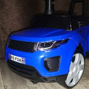 Пушкар BabyCare Sport car: отзыв пользователя Детский Мир