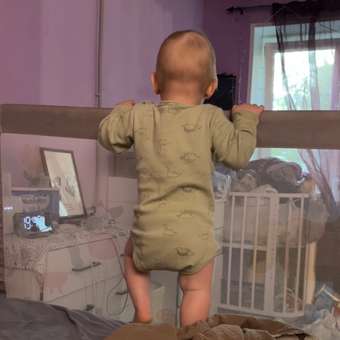 Боди Baby Gо: отзыв пользователя Детский Мир