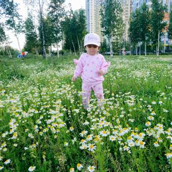Брюки BabyGo: отзыв пользователя ДетМир