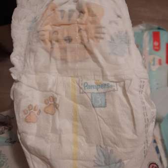 Подгузники Pampers Premium Care 3 6-10кг 52шт: отзыв пользователя Детский Мир