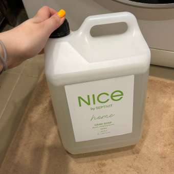 Мыло жидкое NICE by Septivit Фисташка 5450 г 5000 мл: отзыв пользователя Детский Мир