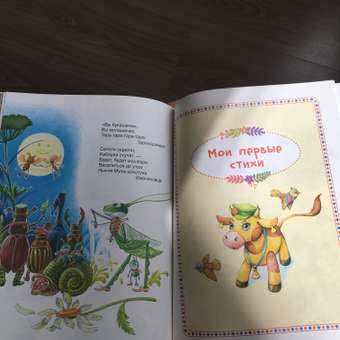 Книга Росмэн От рождения до года Первая книга малыша: отзыв пользователя Детский Мир