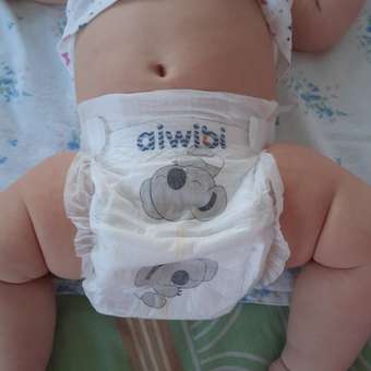 Подгузники детские AIWIBI Premium M (6-11 кг) 12 шт: отзыв пользователя Детский Мир