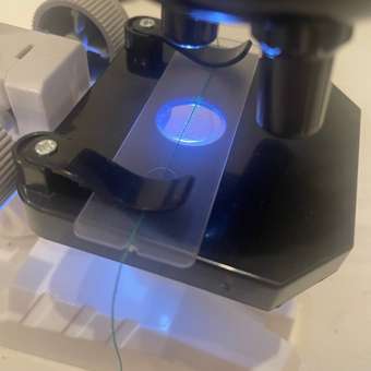 Микроскоп Veld Co с аксессуарами 5 предметов: отзыв пользователя Детский Мир