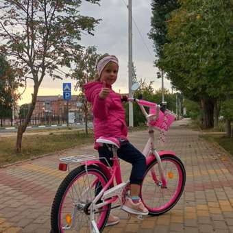 Велосипед NRG BIKES SWAN 20 pink-white: отзыв пользователя Детский Мир