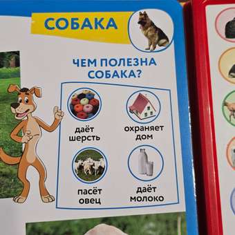 Книга УМка Домашние животные Простоквашино: отзыв пользователя Детский Мир