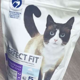 Корм для взрослых кошек PerfectFit Здоровье почек с лососем 650г: отзыв пользователя. Зоомагазин Зоозавр