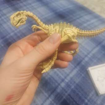 Набор игровой Zuru Robo Alive Dino Fossil Яйцо в непрозрачной упаковке (Сюрприз) 71115UQ1: отзыв пользователя Детский Мир