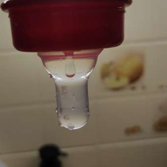 Бутылочка для кормления DinoRhino с соской молочной силиконовой 125мл: отзыв пользователя Детский Мир