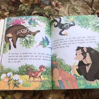 Книга АСТ Первые книжки Животные: отзыв пользователя Детский Мир