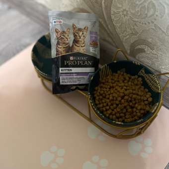 Корм влажный для котят PRO PLAN Nutri Savour 85г с индейкой в соусе пауч: отзыв пользователя. Зоомагазин Зоозавр