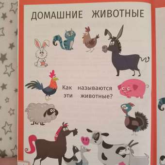 Книга Феникс Премьер Умный ребенок 2-3 года. Развитие ребенка: отзыв пользователя Детский Мир