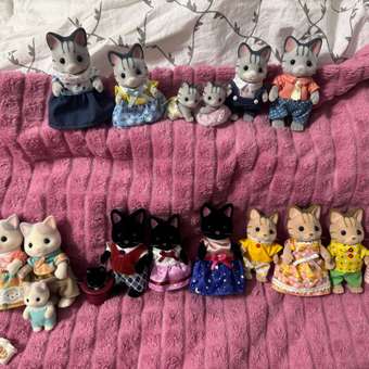 Игровой набор Sylvanian Families Семья Котов-рыбаков: отзыв пользователя ДетМир