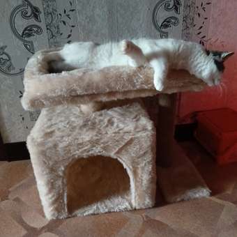 Домик для кошки с когтеточкой Pet БМФ Бежевый: отзыв пользователя. Зоомагазин Зоозавр