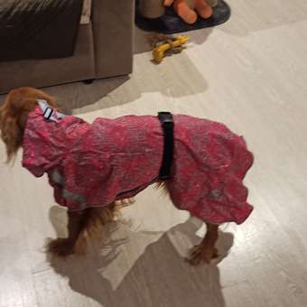 Куртка для собак ICEPEAK PET 50 Розовый 470400121B64050: отзыв пользователя Детский Мир