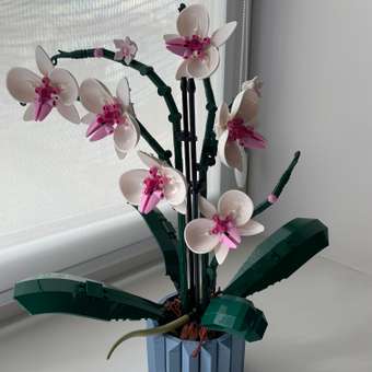 Конструктор LEGO Botanicals Orchid блочный: отзыв пользователя Детский Мир