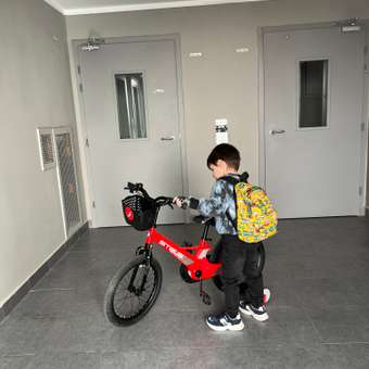 Велосипед детский STELS Flash KR 18 Z010 9.1 Красный: отзыв пользователя Детский Мир