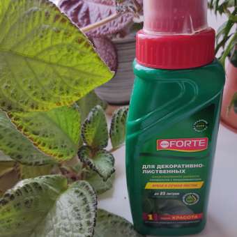 Жидкое минеральное удобрение Bona Forte Красота Для декоративно-лиственных растений 285 мл: отзыв пользователя Детский Мир