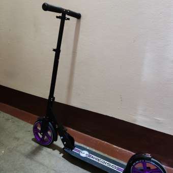 Самокат BABY STYLE 2х колесный складной до 100 кг черный/фиолетовый: отзыв пользователя Детский Мир