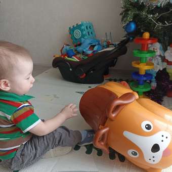Пушкар VIKINGTOYS: отзыв пользователя Детский Мир