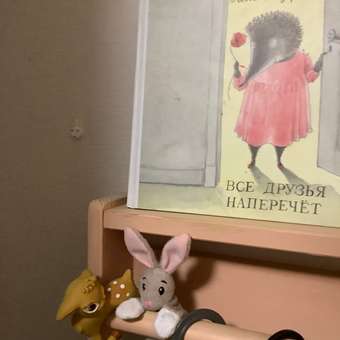 Прорезыватель OLI and CAROL: отзыв пользователя Детский Мир