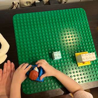 Конструктор LEGO DUPLO Пластина для строительства блочный: отзыв пользователя Детский Мир