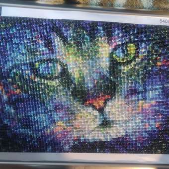 Алмазная мозаика на холсте Solmax Кошка 30 x 40 см CP54069: отзыв пользователя Детский Мир
