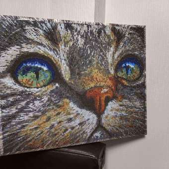 Алмазная мозаика Art on Canvas Кошачий взгляд в ассортименте: отзыв пользователя Детский Мир