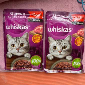 Корм для кошек Whiskas Мясная коллекция с говядиной 75г: отзыв пользователя Детский Мир