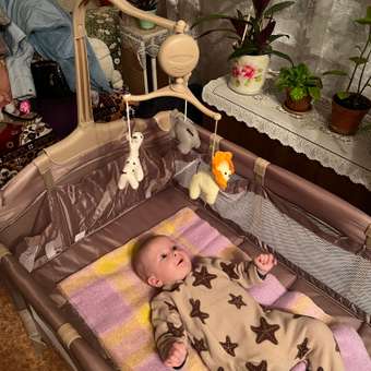 Манеж-кровать Babyton Dreamy Brown: отзыв пользователя Детский Мир