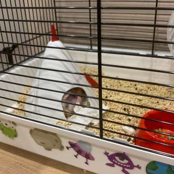 Besazw shop hamster cage