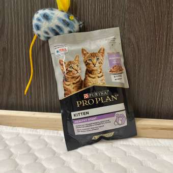 Корм влажный для котят PRO PLAN Nutri Savour 85г с индейкой в соусе пауч: отзыв пользователя. Зоомагазин Зоозавр