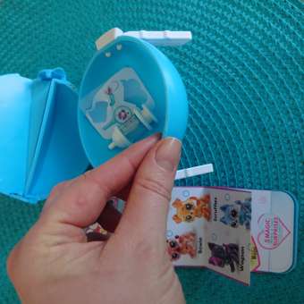 Игрушка Zuru 5 surprise Pet rescue Шар в непрозрачной упаковке (Сюрприз) 77265GQ1: отзыв пользователя ДетМир