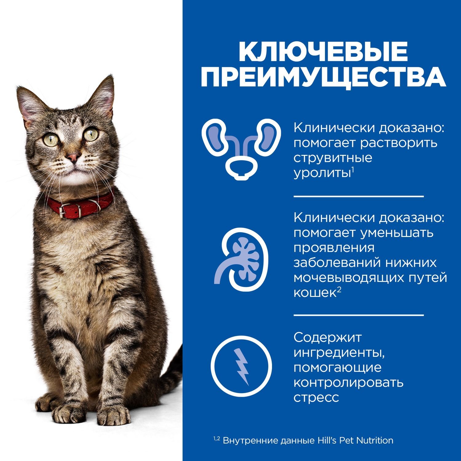 Корм для кошек HILLS 400г Prescription Diet c/d Urinary Stress для МКБ и при стрессе с курицей сухой - фото 4