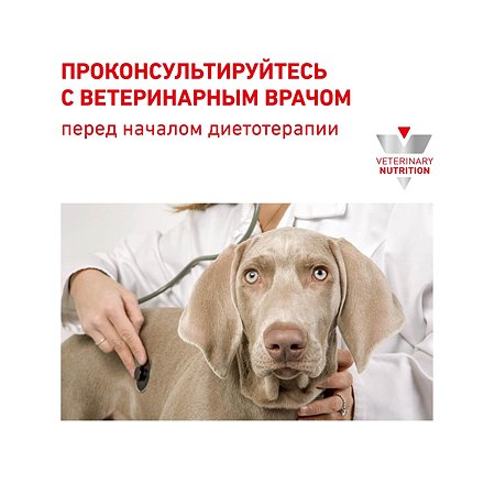 Корм для собак ROYAL CANIN Gastrointestinal low fat мелких пород 3кг - фото 9