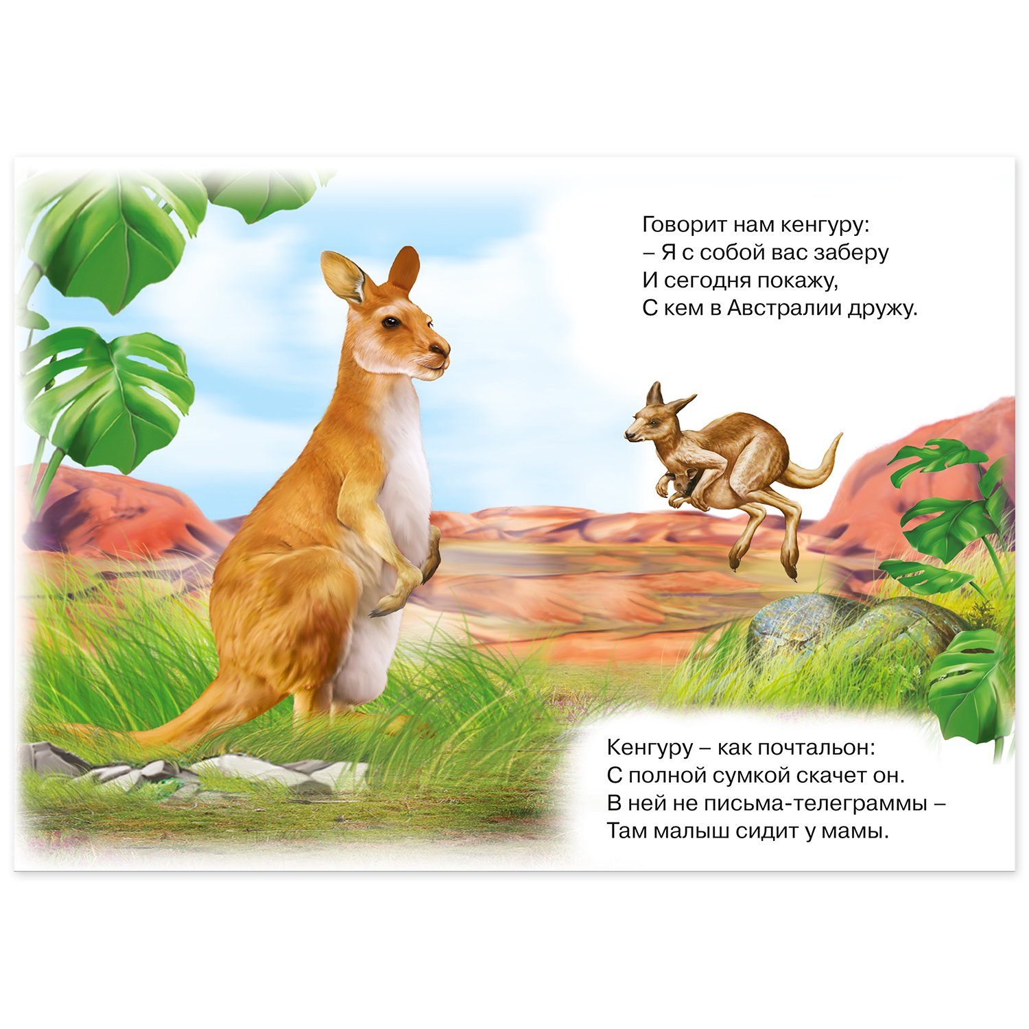 Кенгуру ру песня. Стих про кенгуру. Стихотворение про кенгуру для детей. Стих про кенгуру для детей. Загадка про кенгуру для детей.
