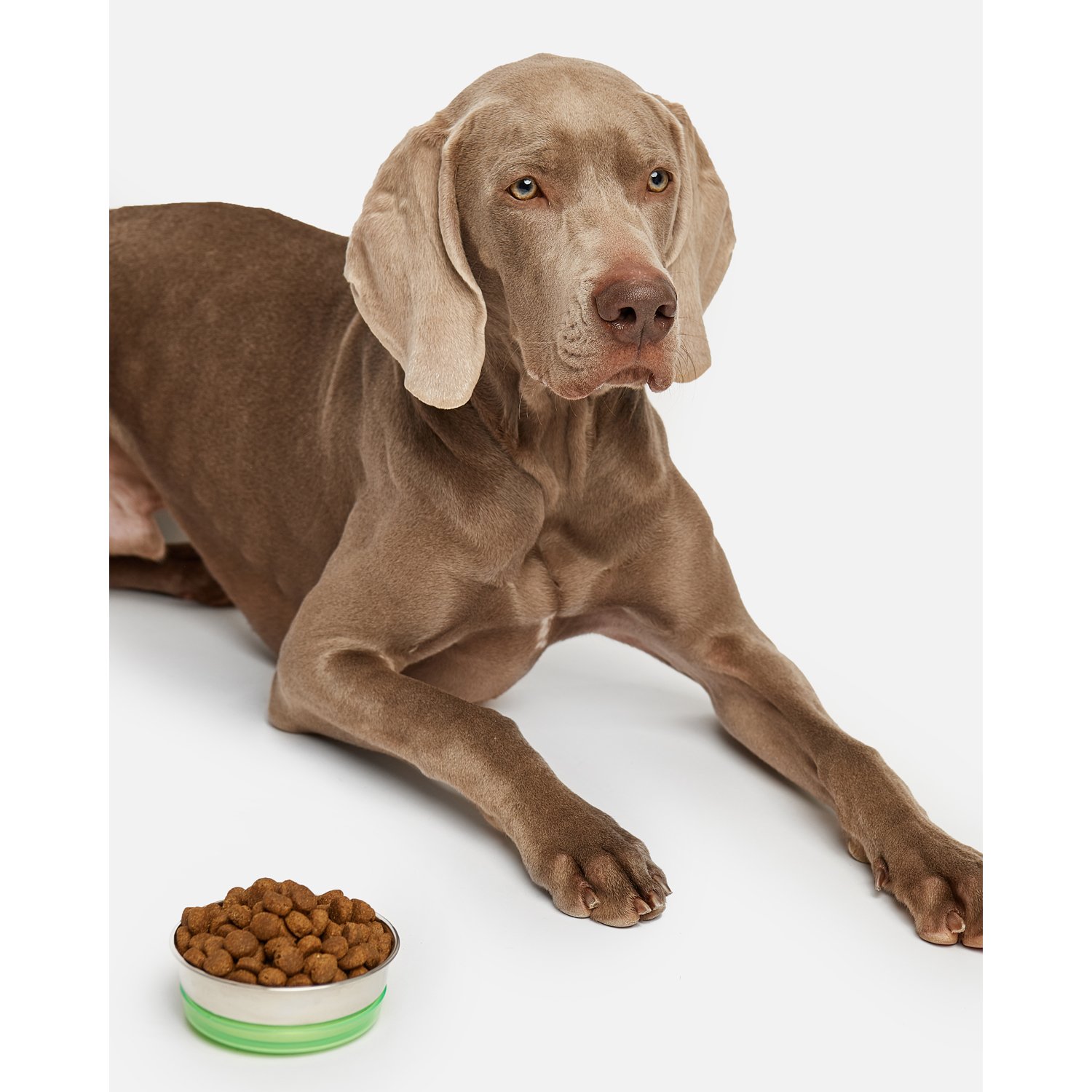 Корм для собак Carnica 0,8кг с ягненком для здоровья суставов для средних и крупных пород сухой - фото 13
