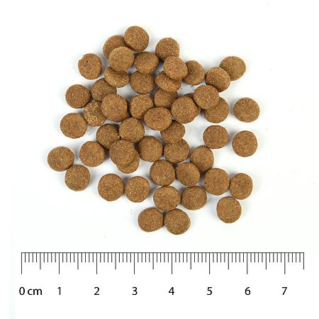 Корм для собак Carnica 0,8кг с индейкой для стерилизованных средних и крупных пород сухой - фото 7