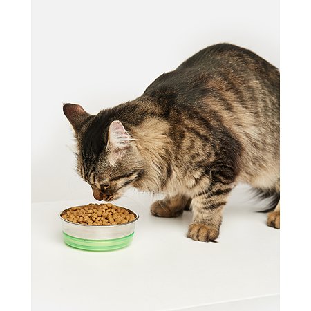 Корм для кошек Carnica 0.4кг с тунцом для поддержания веса сухой - фото 13