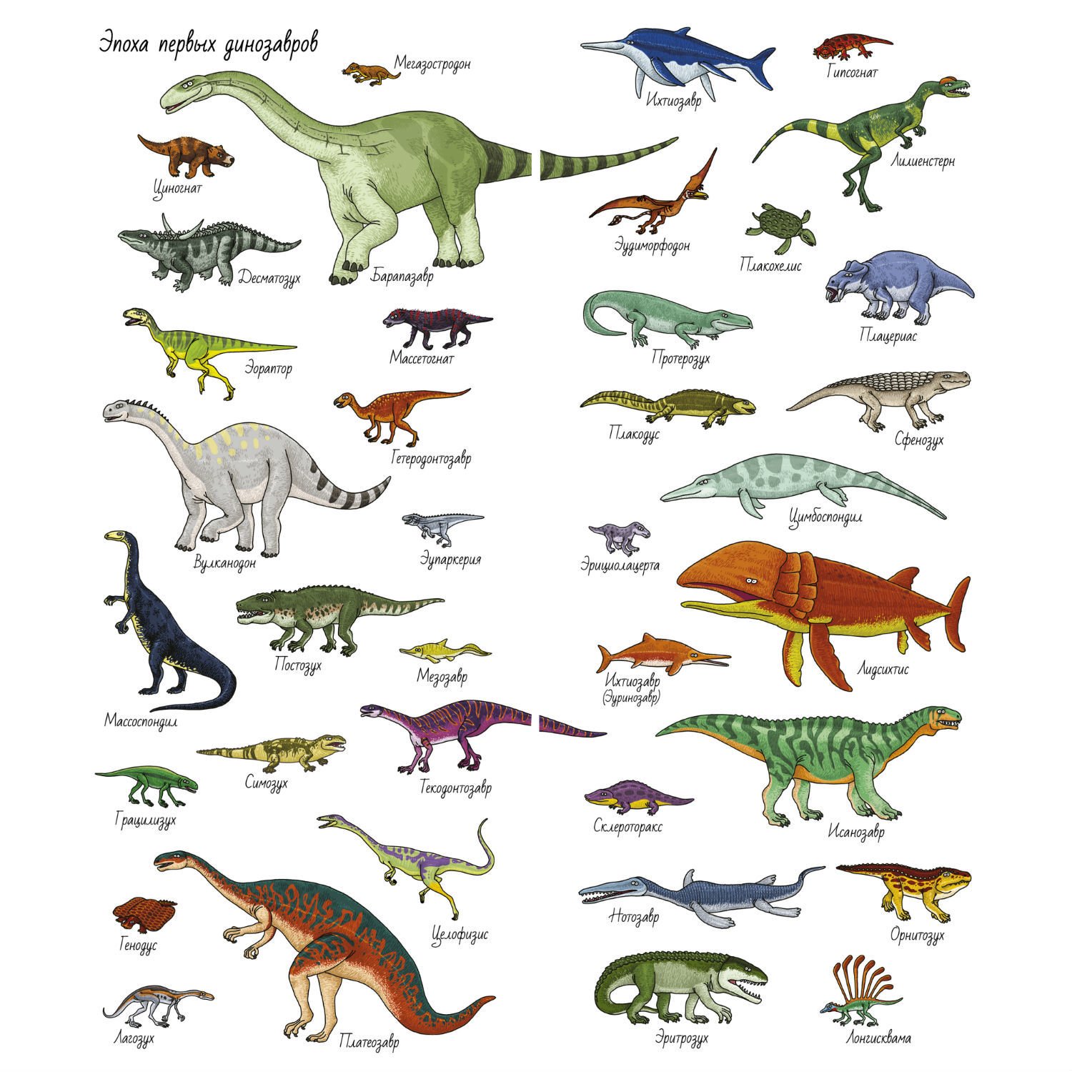 Нептичьи динозавры виды. Виды динозавров. Динозавры и их названия. Виды динозавров с названиями. Название всех динозавров.