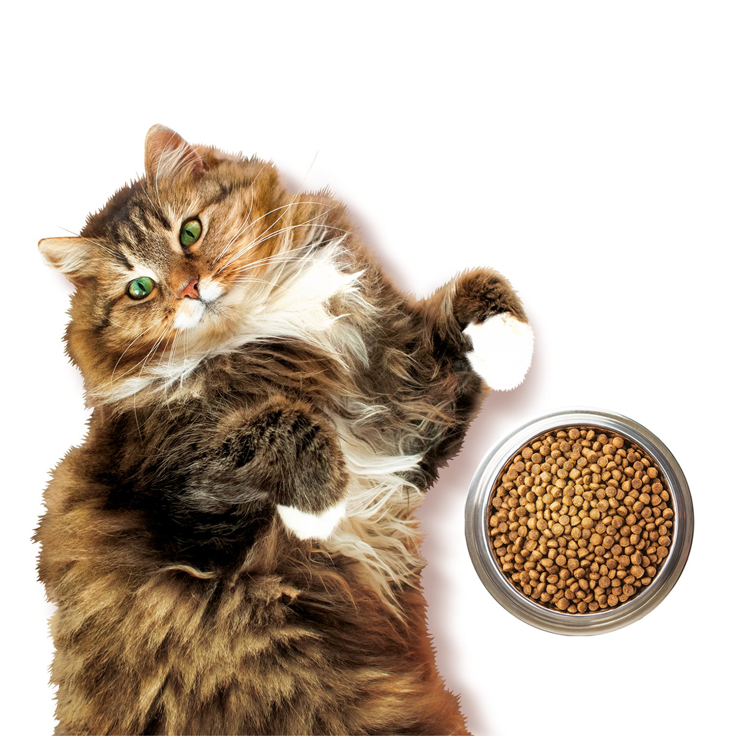 Корм для кошек Harty 0,3кг с индейкой для взрослых с чувствительным пищеварением полнорационный сухой - фото 3
