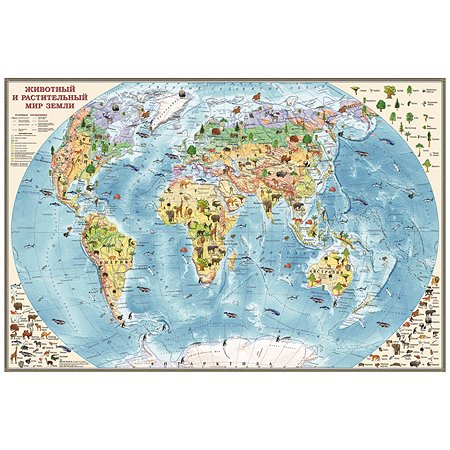 Карта мира Ди Эм Би обитатели Земли настольная двухсторонняя капсулированная
