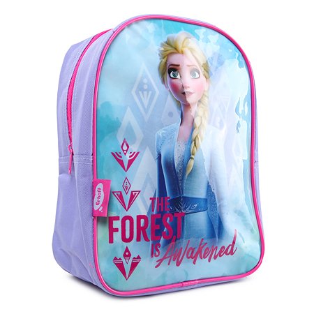 Рюкзак дошкольный Erhaft Disney Frozen FRZ-00001
