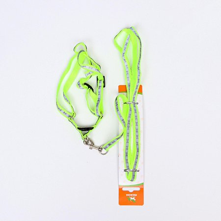 Комплект Пижон поводок и шлейка светоотражающий Косточки зелёный