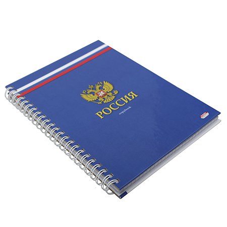 Записная книга Prof Press Российский герб А5 80л 80-8107