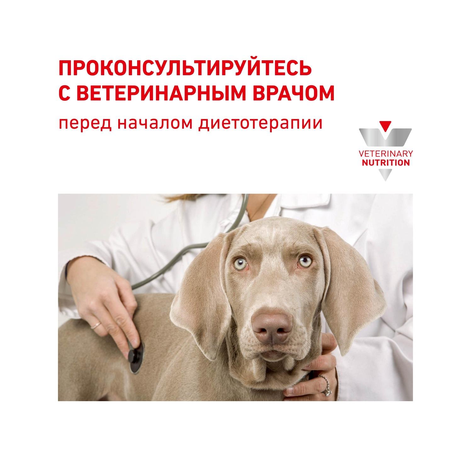 Корм для кошек-собак ROYAL CANIN Recovery Feline-Canine при анорексии 0.195кг - фото 6