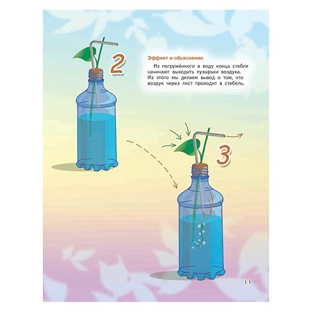 Книга ПИТЕР Весёлые научные опыты Увлекательные эксперименты с растениями и солнечным светом - фото 11