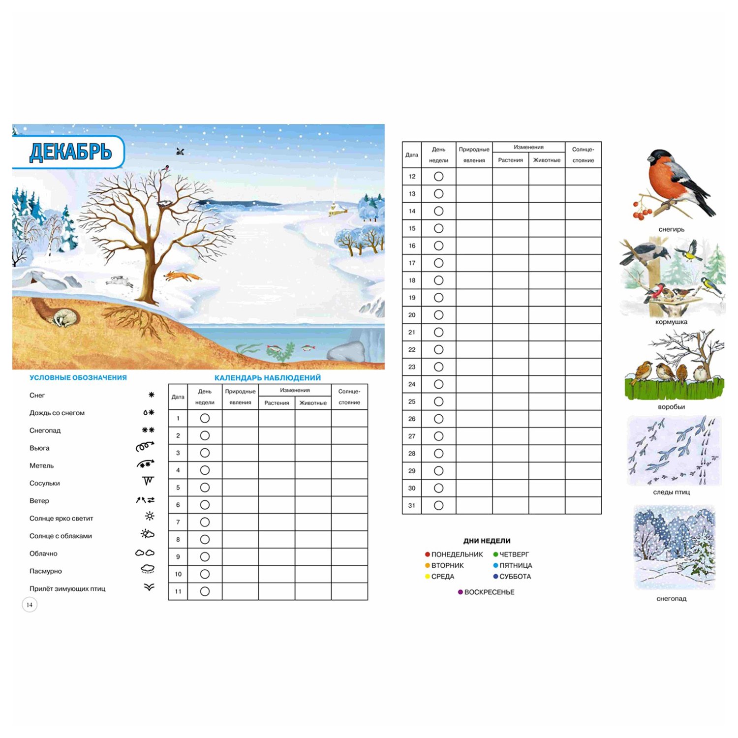 Календарь наблюдений за погодой в детском саду